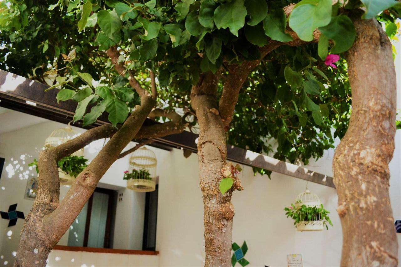 Casa Gandamar B&B ซานตา เตเรซา กัลลูรา ภายนอก รูปภาพ