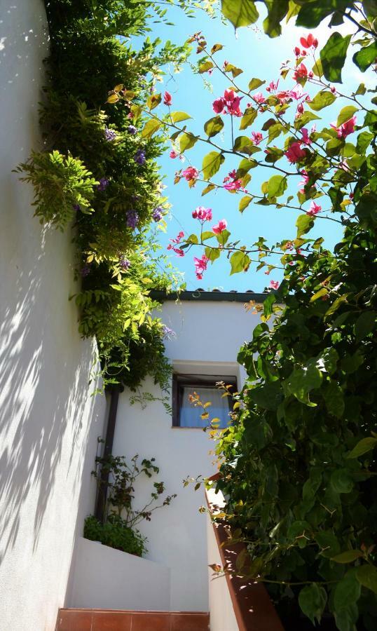 Casa Gandamar B&B ซานตา เตเรซา กัลลูรา ภายนอก รูปภาพ