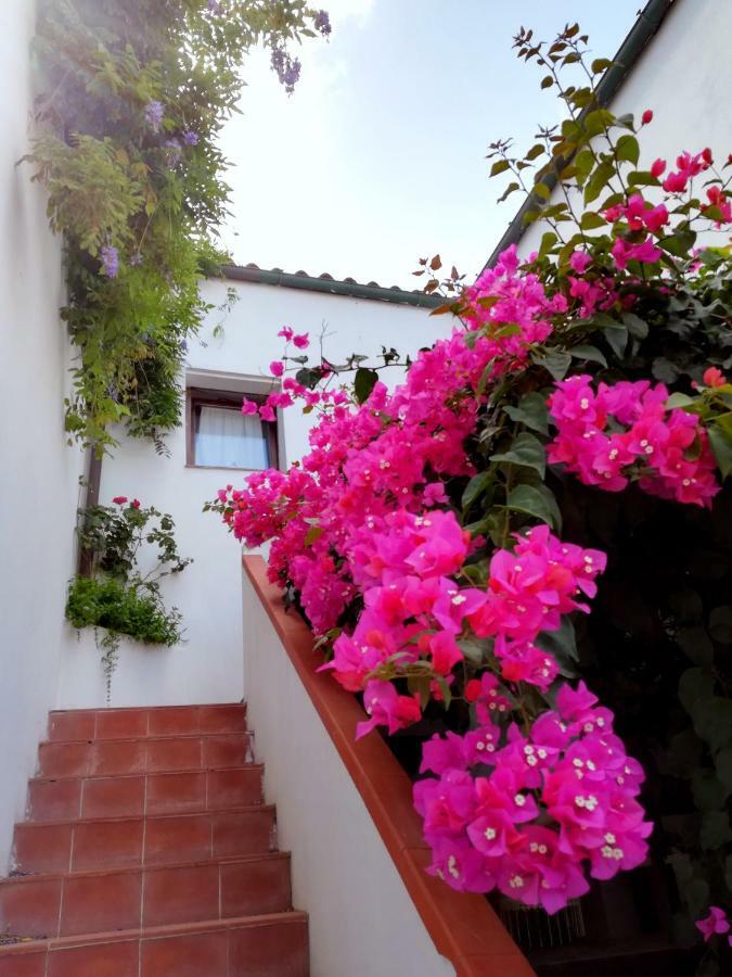 Casa Gandamar B&B ซานตา เตเรซา กัลลูรา ภายนอก รูปภาพ